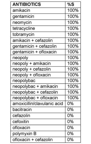 Staphylococcus simulans